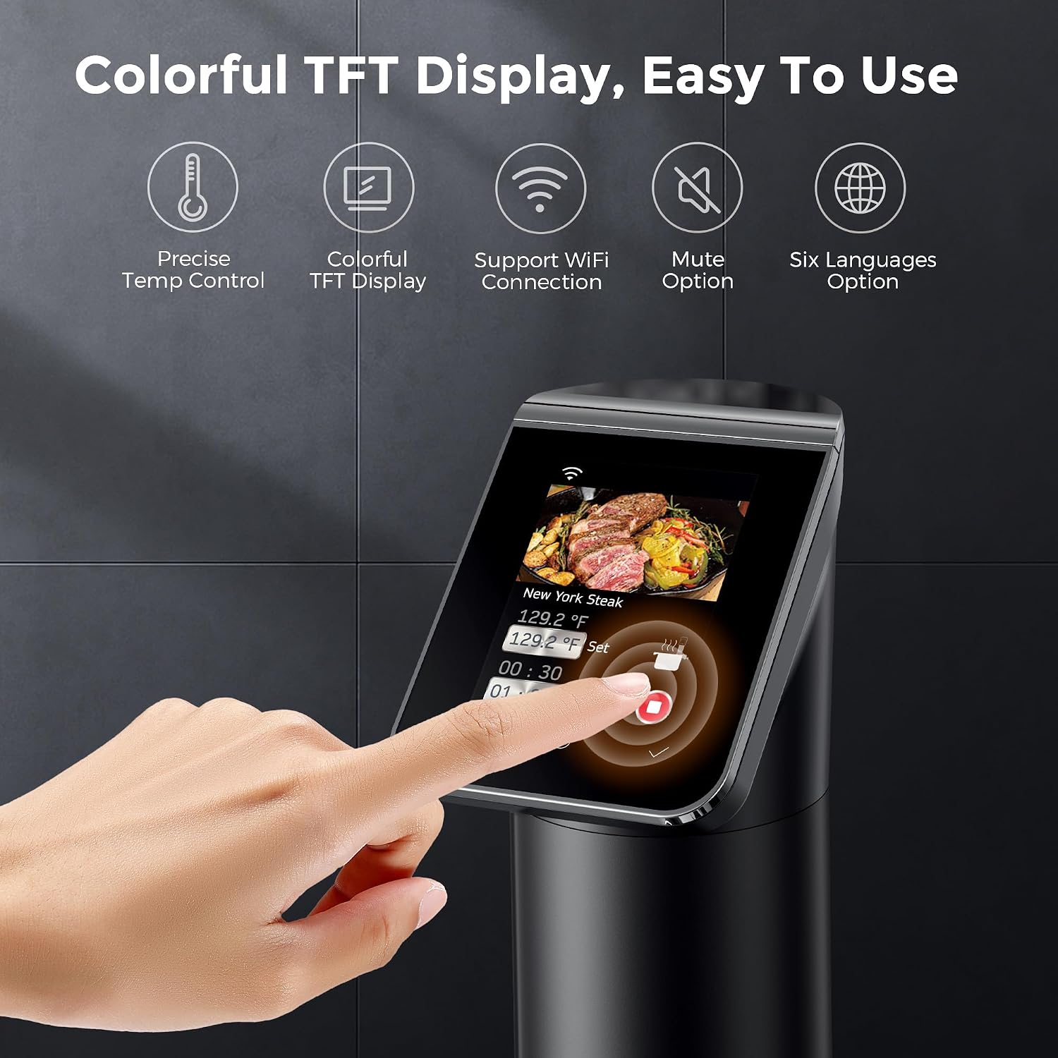 หม้อปรุงอาหารซูวีด์แบบไร้สาย 1 - Sous Vide Immersion บทวิจารณ์และราคา